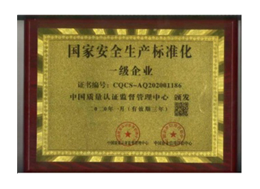 国家安全生产标准化一级企业